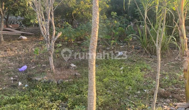 Tanah pinggir jalan Kuripan cocok untuk Gudang 