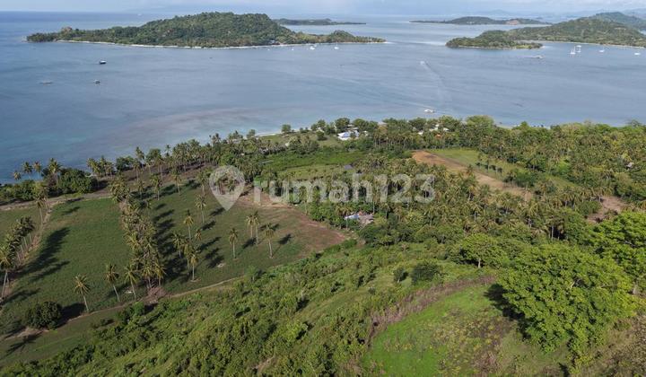 Tanah bukit hill view laut Sekotong Batu Putih Tanah bukit hill view laut Sekotong Batu Putih