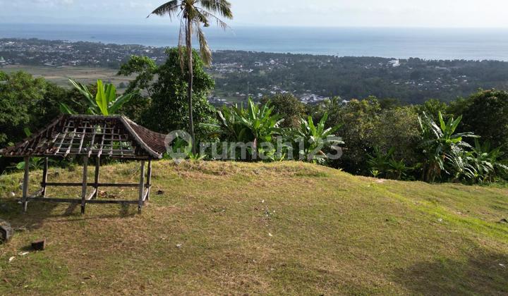 Tanah diatas bukit Bengkaung di Senteluk Batu Layar