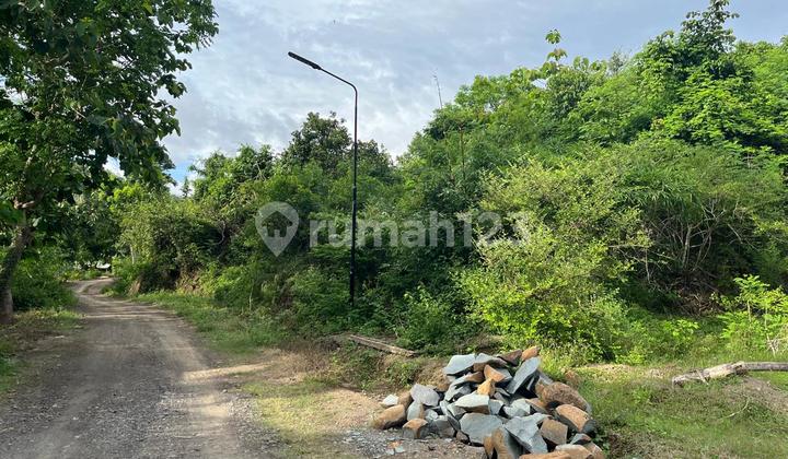 Tanah di selong belanak dekat Kuta Mandalika Tanah di selong belanak dekat Kuta Mandalika