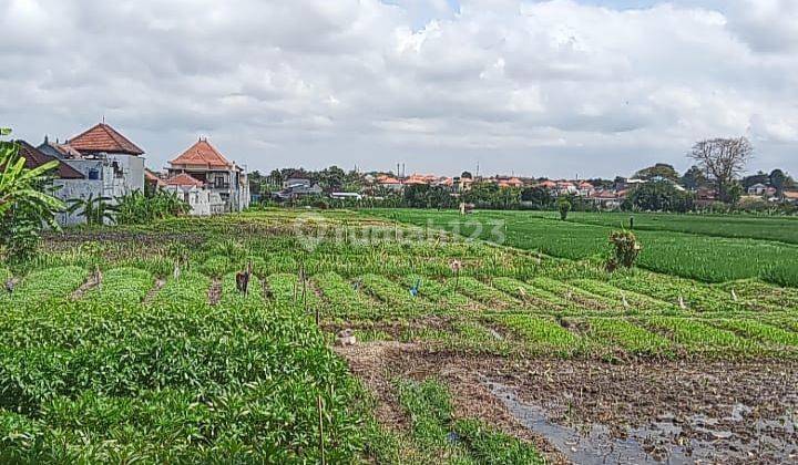 Tanah di Denpasar Utara Cocok Untuk Kapling 1