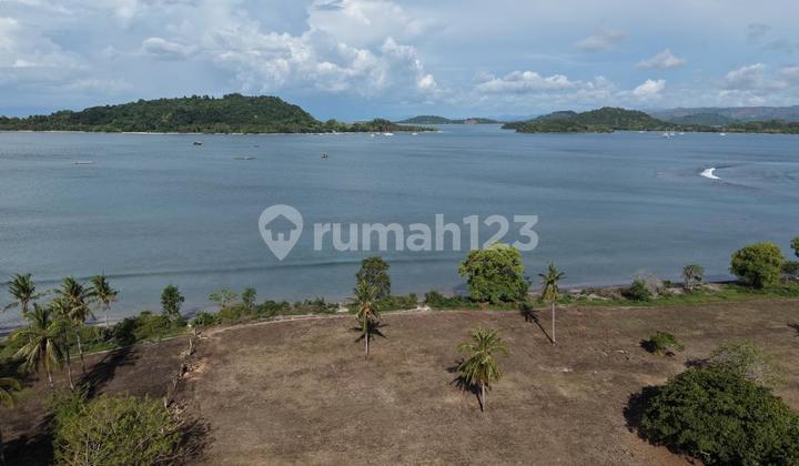 Tanah pinggir pantai beachfront Sekotong Batu Putih Tanah pinggir pantai beachfront Sekotong Batu Putih