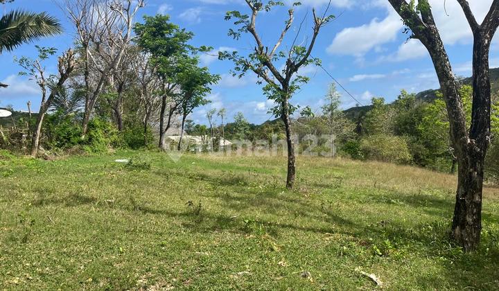 Tanah pinggir jalan Areguling arah Selong Belanak dekat kuta Mandalika Tanah pinggir jalan Areguling arah Selong Belanak dekat kuta Mandalika