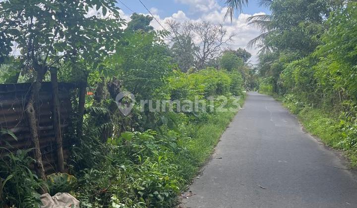 Dijual kolam ikan di narmada Nyiurlembang Lombok Barat Dijual kolam ikan di narmada Nyiurlembang Lombok Barat