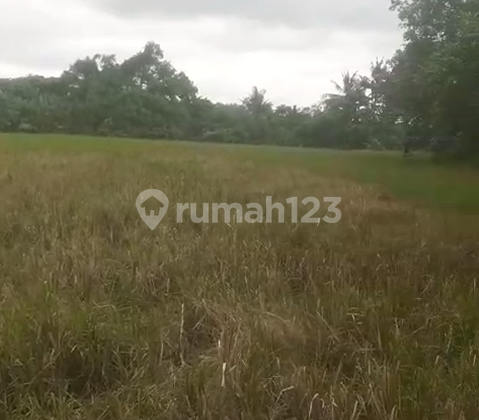 Land near Tegalambo Beach Kerambitan Tabanan Bali