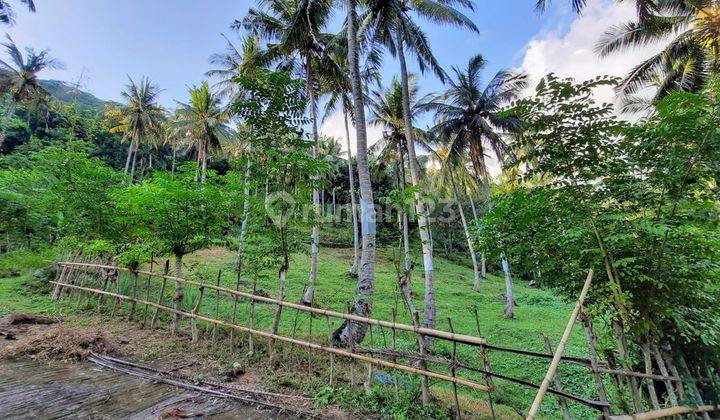 Tanah di Kerandangan Cocok Untuk Villa  2