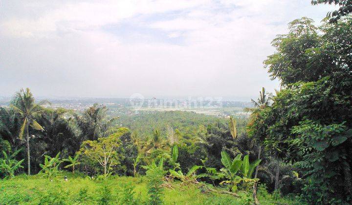 Tanah di Penyawangan Dekat Penyawangan Resto  1