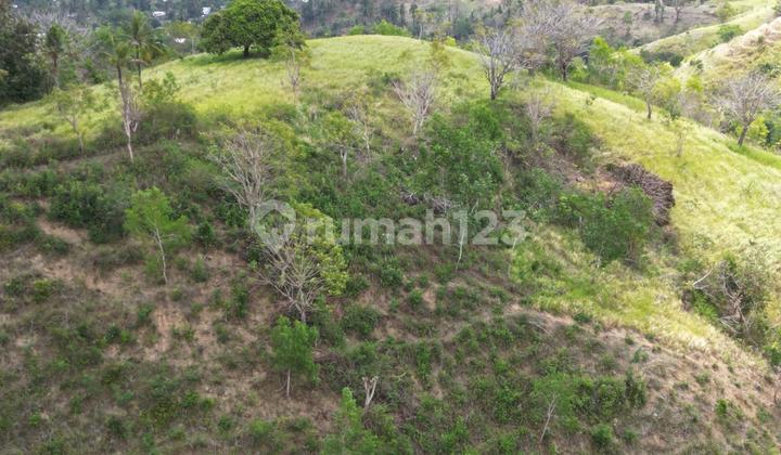 Tanah murah Ocean view laut Selong Belanak dekat Kuta Mandalika 