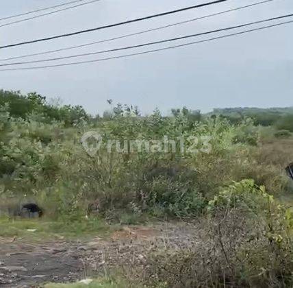 Kavling Jalan Nasional 1 Kab Rembang Jawa Tengah Lokasi Strategis 1