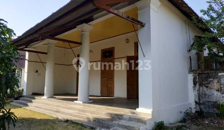 Rumah Di Mergangsan Kota Yogyakarta Halaman Luas Asri Rumah Di Mergangsan Kota Yogyakarta Halaman Luas Asri