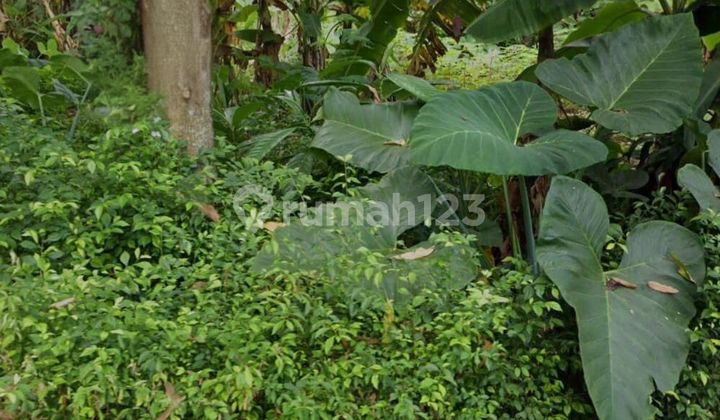 Land Behind Wisma BCA Foresta BSD