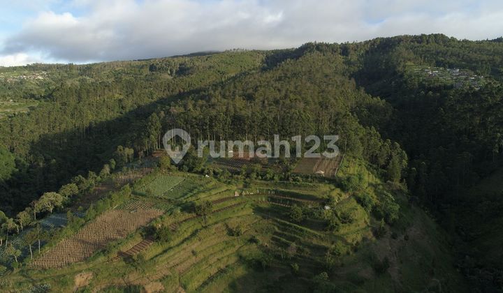 Resort Land with Good Location in Lembang, Bandung, Suitable for Villas, Hotels, etc.