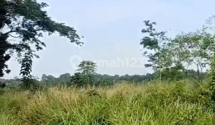 Land in Curug Manis, Serang, Banten Land in Curug Manis, Serang, Banten