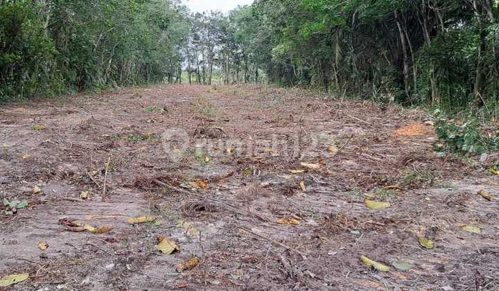 Dijual Tanah Lokasi Strategis Dekat Dari Jalan Siak 2 Dijual Tanah Lokasi Strategis Dekat Dari Jalan Siak 2