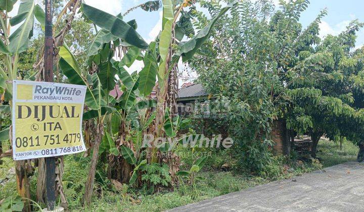 Dijual Cepat Tanah Jl. Melur Panam Belakang Ramayana Panam Pekanbaru 2