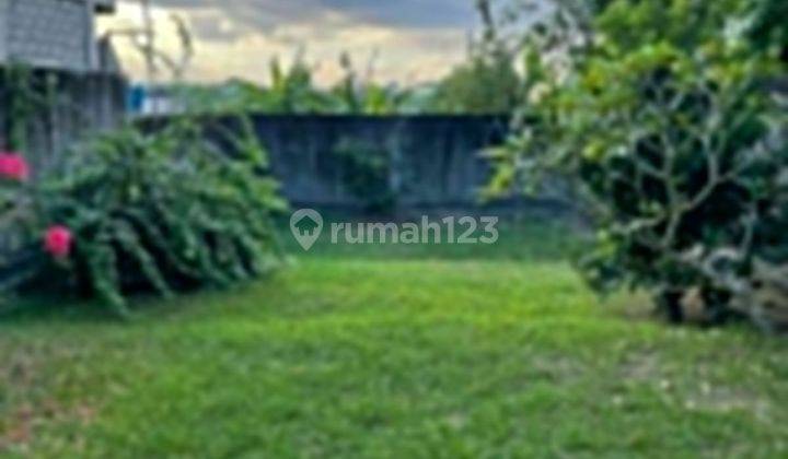 For rent 6 acres of land in Canggu Bali  2