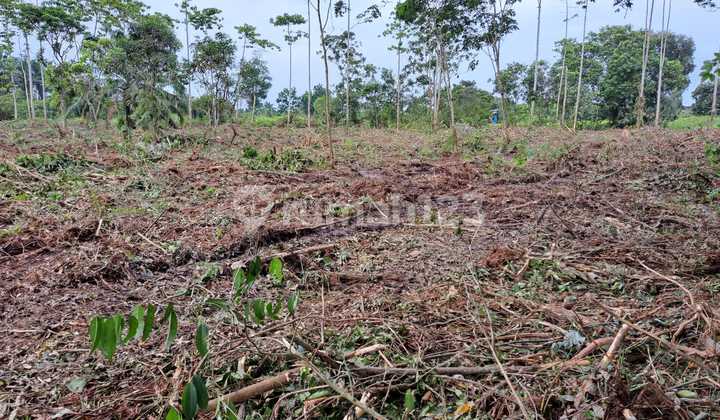 Dijual Tanah Lokasi Strategis Dekat Dari Jalan Siak 2