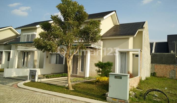 Dijual Rumah Cantik Siap Huni Dekat Jl. Purwodadi Pekanbaru 2