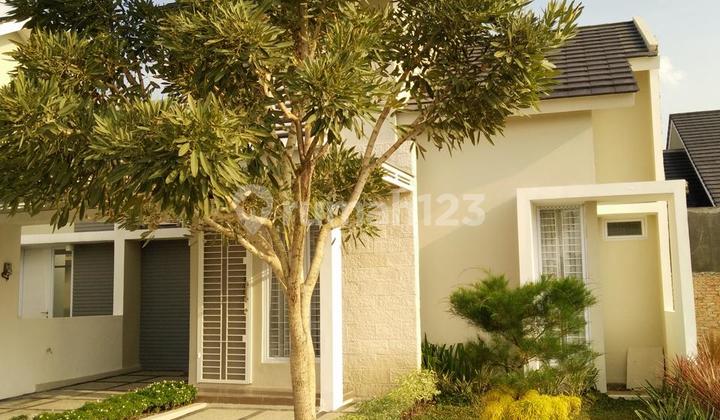 For Rent: Beautiful Move-in Ready House Near Purwodadi Street, Pekanbaru