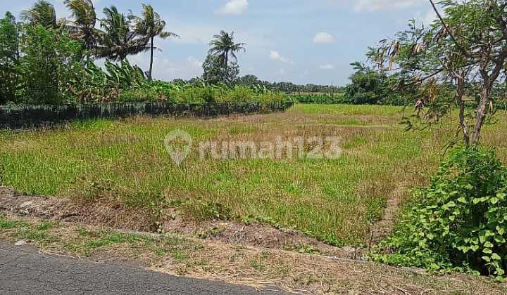 Dijual Tanah Dekat Pantai dan Soori Bali Dijual Tanah Dekat Pantai dan Soori Bali