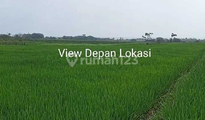 Dijual Tanah View Sawah & Laut di Tabanan Dijual Tanah View Sawah & Laut di Tabanan