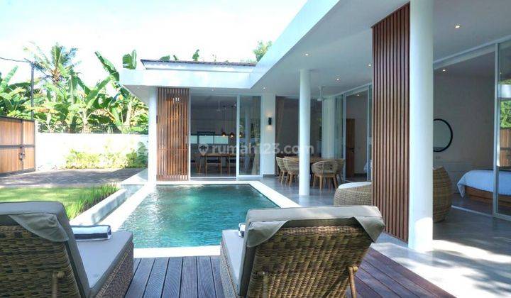 New Villa Furnished Modern Minimalist style in Lovina Bali 1