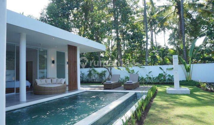 New Villa Furnished Modern Minimalist style in Lovina Bali 2