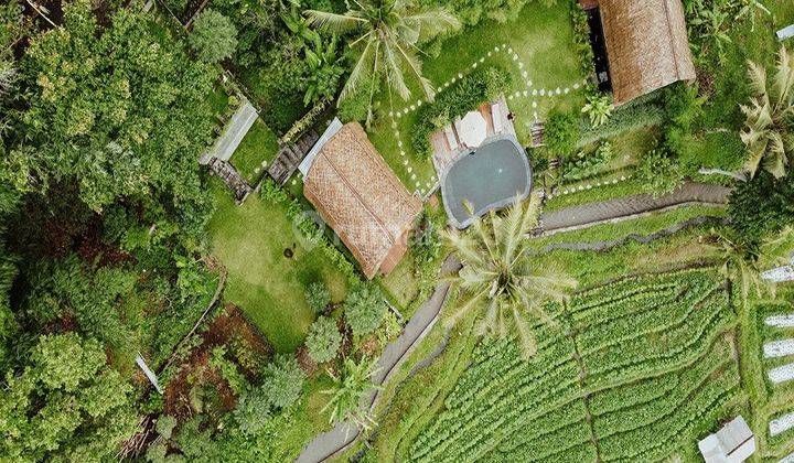 Private Villa Furnished dengan View Padi Dan Gunung Agung 3