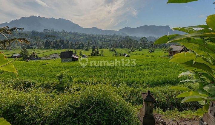 Private Villa Furnished dengan View Padi Dan Gunung Agung 5