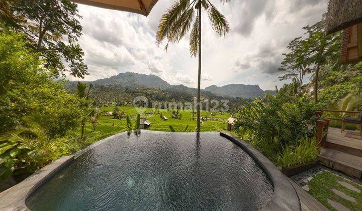 Private Villa Furnished dengan View Padi Dan Gunung Agung 9