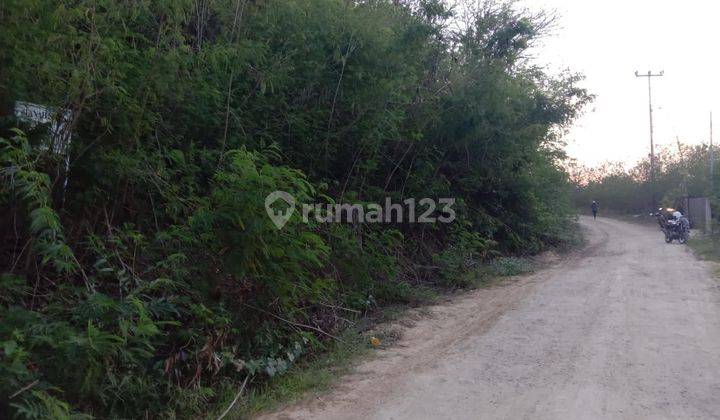 Dijual Tanah Tebing View Bukit dan Laut Labuan Bajo Nusa Tenggara 2