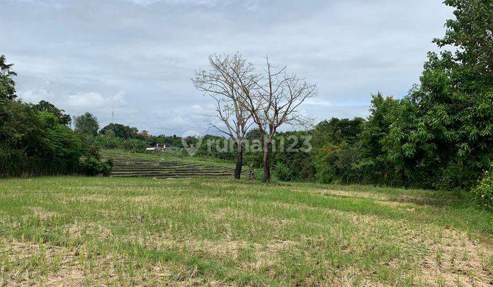 DIJUAL TANAH VIEW SAWAH LOKASI PERERENAN 1