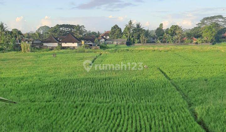 Two-story house for sale with views of rice fields and mountains, Ubud location 1