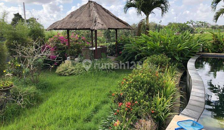 Spacious Freehold Villa With Rice Paddies View For Sale In Berawa 2