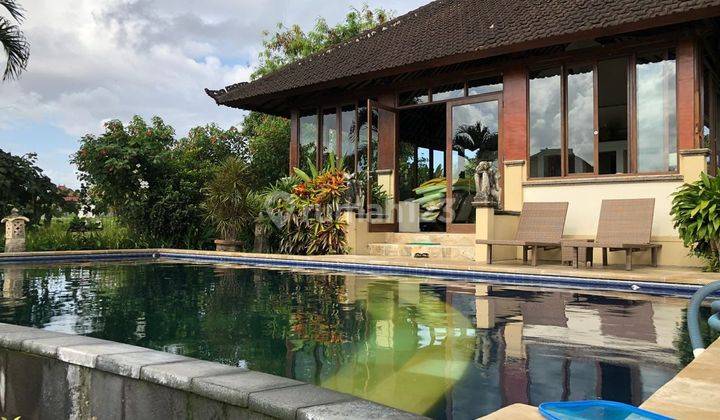 Spacious Freehold Villa With Rice Paddies View For Sale In Berawa 1