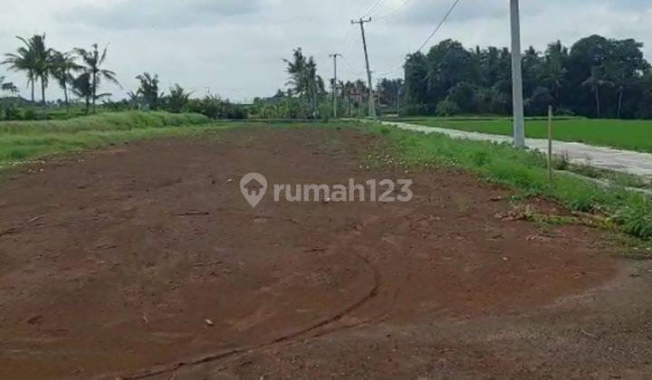 Land for sale near Kedungu Beach, Tabanan 2