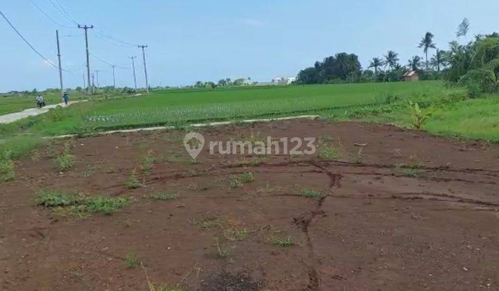 Land for sale near Kedungu Beach, Tabanan 1