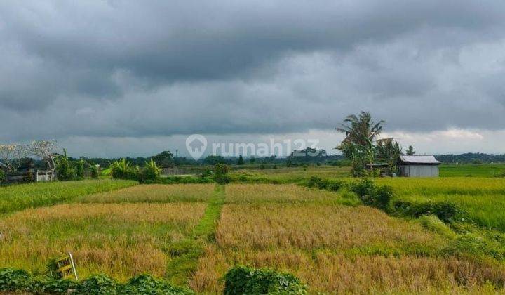 Mengwi Road Trade Zone Land