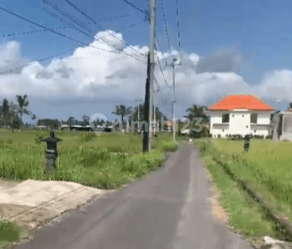 Land for sale with rice field views close to Central Ubud 2