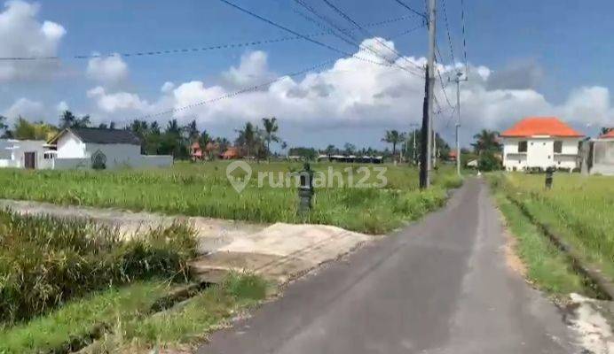 Land for sale with rice field views close to Central Ubud 1