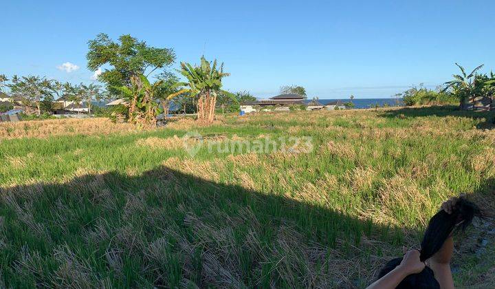 Dijual Tanah SHM View Laut Lokasi Ketewel Gianyar 2