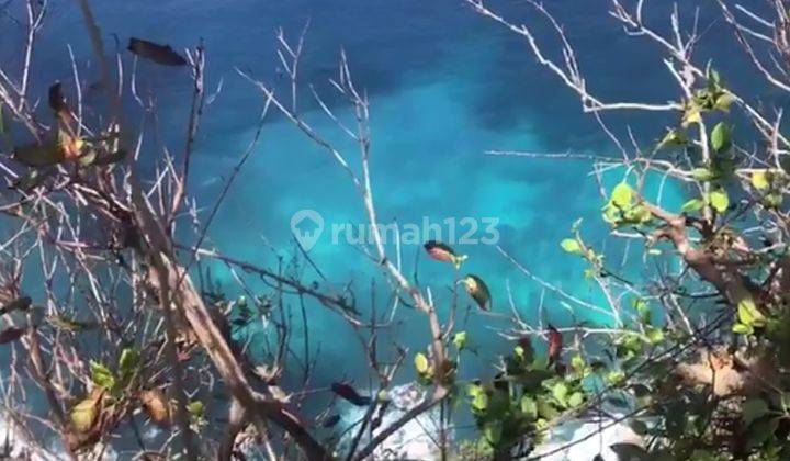 Dijual Tanah Los Tebing Terbaik Nusa Penida 2