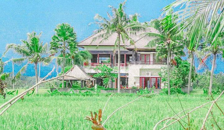 Villa Tengah Sawah Dekat Ciputra Beach Resort Tabanan 2