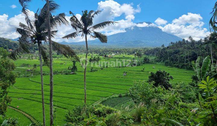 Land For Sale With Good View At Karangasem 1