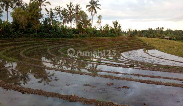 Dijual Tanah Dengan View Mempesona Tabanan 2