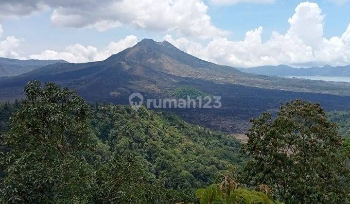 Land for sale with Mount Lake Batur view, Kintamani 1