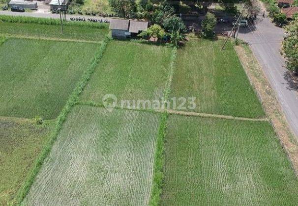 Dijual Tanah Dekat Pantai Lokasi Dawan Klungkung 1