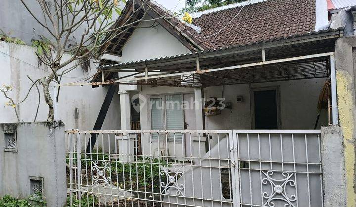 Dijual Tanah Bonus Bangunan Rumah Lama Di Canggu 1