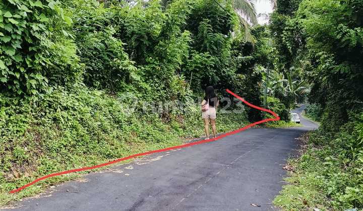 Land for Sale Near Balian Beach Tabanan