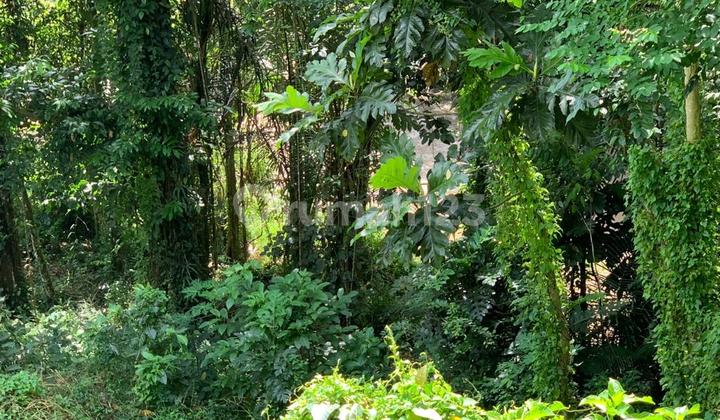 Land for Sale at Los Sungai, Suitable for Villas in Buwit, Tabanan